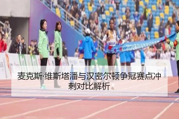 麦克斯·维斯塔潘与汉密尔顿争冠赛点冲刺对比解析
